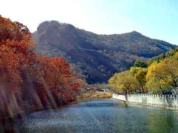 澳门精准大全正版网站，隧道防水板